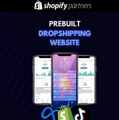 Prebuilt Dropshipping Website®