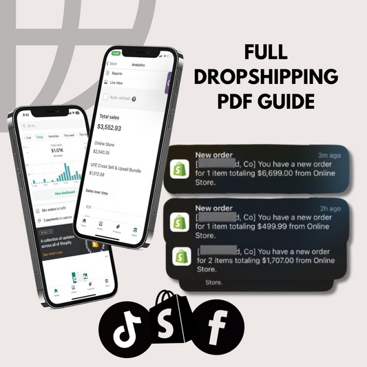 Dropshipping Guide.pdf Products – Pinnacle Lifestyle